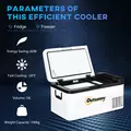 Outsunny 12V Car Refrigerator w/ LED Light & Foldable Handles, 18L Portable Compressor Cooler, Fridge Freezer with 12/24V DC and 110-240V AC for Campervan RV Boat Travel - 4