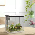 PawHut 13L Glass Aquarium Fish Tank with Filter, LED Lighting, for Betta, Guppy, Mini Parrot Fish, Shrimp, 29 x 20 x 30.5cm - 2