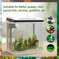 PawHut 13L Glass Aquarium Fish Tank with Filter, LED Lighting, for Betta, Guppy, Mini Parrot Fish, Shrimp, 29 x 20 x 30.5cm - 4