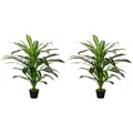 Outsunny Set of Two Artificial Dracaena Plants - 1