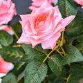 Outsunny Set of 2 Artificial Plants Pink Rose Floral in Pot, Fake Plants for Home Indoor Outdoor Decor, 90cm - 9