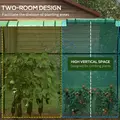 Outsunny Tomato Greenhouse, Garden Growhouse with 2 Roll-up Doors and 4 Mesh Windows, Portable Indoor Outdoor Green House, 185 x 94 x 150cm, Green - 4