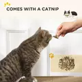 PawHut 2 in 1 TV Shape Cat Scratching Board House with Catnip, for Indoor Cats, Brown - 7