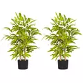 HOMCOM 2 PCs Artificial Plants Bamboo Tree in Pot Desk Fake Plants for Home Indoor Outdoor Decor, 15x15x60cm, Green - 1