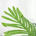 Outsunny 2 Pack 60cm Artificial Palm Tree Decorative Plant with Nursery Pot, Fake Tropical Tree for Indoor Outdoor Decor - 9