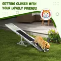 PawHut Wooden Pet Seesaw for Big Dogs, Dog Agility Equipment with Anti-Slip Surface - White - 6