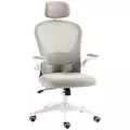 Vinsetto Multi-Adjustable Office Chair, with Lumbar Support, Headrest and Mesh Back - Grey - 1