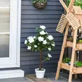 Outsunny Set of 2 Artificial Plants White Rose Floral in Pot, Fake Plants for Home Indoor Outdoor Decor, 90cm - 7
