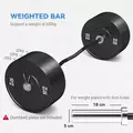 SPORTNOW 120cm EZ Barbell Bar for 5cm Weight Plates, with Spring Clips, 8kg - 5