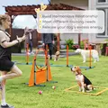 PawHut 6-Piece Dog Agility Equipment Set with Weave Poles, Jump Ring, Hurdle, Pause Box, Bag, Orange - 6