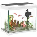 PawHut 27L Glass Fish Tank with Filter System, LED Light, Water Pump, for Betta, Goldfish, Shrimps, White - 1