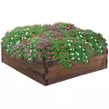 Outsunny 128L Wooden Raised Beds for Garden Planter Grow Containers For Outdoor Patio Plant Flower Vegetable 80L x 80W x 22.5H cm - 1