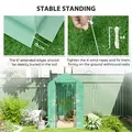 Outsunny 120 x 186cm Walk-In Greenhouse, with Shelves - Green - 6