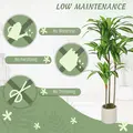HOMCOM 120cm Artificial Dracaena Tree with Bendable Trunks - Green - 5