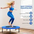 HOMCOM 32" Mini Fitness Trampoline Home Gym Yoga Exercise Rebounder Indoor Outdoor Jumper with Safety Pad, Support Up to 100 KG, Blue and Black - 6