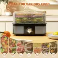 HOMCOM 5 Tier Food Dehydrator, 245W Stainless Steel Food Dryer Machine with Adjustable Temperature for Drying Fruit, Meat, Vegetable, Jerky and Pet Treat, Black - 4