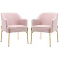 HOMCOM Accent Chair, Living Room Armchair, Vanity Chair with Gold Plating Metal Legs and Soft Padded Seat for Bedroom and Café, Set of 2, Pink - 1