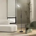 HOMCOM LED Floor Lamp, Standing Lamp with Remote & Touch Control, Stepless Dimmable Colours Temperature & Brightness, 360° Adjustable Gooseneck, 1 Hour Timer, Memory Function for Living Room, Black - 9