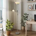 HOMCOM LED Floor Lamp for Living Room, 180cm Tall Standing Lamp, Mother and Child Uplighter with Adjustable Gooseneck, 3000K/4500K/6500K Colour Temperatures, Silver Tone - 9