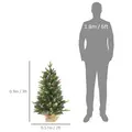 HOMCOM Set of Two 3ft Christmas Trees, with Lights, Berries and Pinecones - 3
