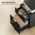 HOMCOM Two-Drawer Lockable Filing Cabinet - Black - 4