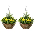Outsunny Set of Two Hanging Lisianthus Flower Pots - Yellow/Green - 1