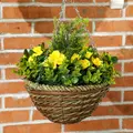 Outsunny Set of Two Hanging Lisianthus Flower Pots - Yellow/Green - 9