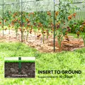 Outsunny Tunnel Tomato Greenhouse with 4 Hoops and Top Tap, Pointed Bottom and Guy Ropes, 400 x 123 x 171 cm, Clear - 6