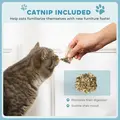 PawHut 2-in-1 Cat Scratcher with Catnip for Indoor Cats, Light Blue - 6