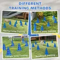PawHut Dog Agility Equipment Set of Eight Cones, Eight Poles w/ Carry Bag, Four-Piece Adjustable Height Jumping Obstacles Blue - 5
