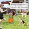 PawHut Seven-Piece Dog Agility Equipment Set with Weave Poles, Jump Ring, Hurdle, Pause Box, Carry Bag, Orange - 6