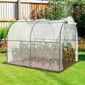 Outsunny Walk-in Polytunnel Greenhouse with Roll-up Door Transparent Tunnel Greenhouse with Steel Frame and PVC Cover, 2.5 x 2m - 2