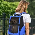 PawHut Pet Travel Backpack Bag Cat Puppy Dog Carrier w/ Trolley and Telescopic Handle Portable Stroller Wheel Luggage Bag (Blue) - 2