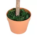 Outsunny 3ft Artificial Olive Tree Indoor Plant Greenery for Home Office Potted in An Orange Pot - 9