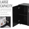 Vinsetto Two-Tier Locking Office Storage Cabinet - Black - 6
