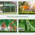 Outsunny Walk-in Greenhouse, Tomato Greenhouse with Double Doors & 4 Windows, Garden Plant Growth Green House with PE Cover, Steel Frame, Green, 3 x 1 x 2 m - 7