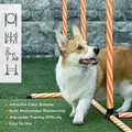 PawHut Dog Agility Equipment Pet Training Set with Adjustable Height Jump Ring Hurdle Whistle Weave Poles Square Pause Box Carry Bag - 7