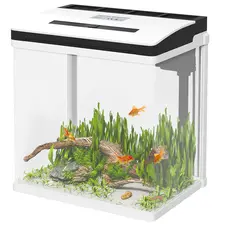 PawHut 13L Glass Aquarium Fish Tank with Filter, LED Lighting, for Betta, Guppy, Mini Parrot Fish, Shrimp, 29 x 20 x 30.5cm - 1