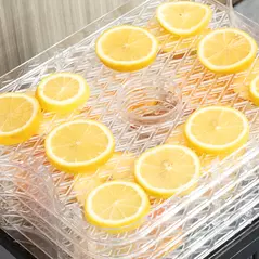 HOMCOM 5 Tier Food Dehydrator, 245W Stainless Steel Food Dryer Machine with Adjustable Temperature, Timer and LCD Display for Drying Fruit, Meat, Vegetable, Jerky and Pet Treat, Black - 8