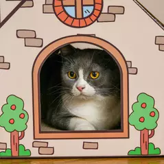 PawHut Two-In-One Cat House, Cat Scratching Board with Scratcher, Catnip, Cat Cardboard Scratcher for Indoor Cats - 9