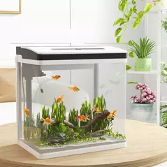 PawHut 28L Glass Aquarium Fish Tank with Filter, LED Lighting, for Betta, Guppy, Mini Parrot Fish, Shrimp, 38 x 26 x 39.5cm - 2