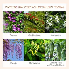 Outsunny Metal Trellis Set of 2, Garden Trellis for Climbing Plants Support Frames, Scrolls Design - 4