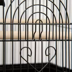 PawHut Metal Bird Cage with Plastic Swing, Perch, Food Container, Tray, Handle, for Finches, Canaries, Budgies, 43.5 x 33 x 121 - 9