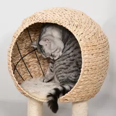 PawHut Cat Tree for Indoor Cats 100cm Kitten Climbing Tower Activity Center with Sisal Scratching Post Condo Perch Hanging Balls Teasing Rope Toy Cushion - 7