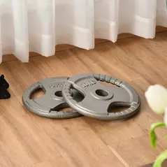 HOMCOM Set of 2 Cast Iron Weight Plates for 2 inch/5cm Hole Dumbbell Handle Bar, 20kg Dumbbell Plates Barbell Weight 2 x 10kg - 2