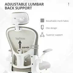 Vinsetto Multi-Adjustable Office Chair, with Lumbar Support, Headrest and Mesh Back - Grey - 5