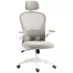 Vinsetto Multi-Adjustable Office Chair, with Lumbar Support, Headrest and Mesh Back - Grey - 1