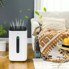 HOMCOM 6500mL Portable Dehumidifier with Air Purifier Filter, 24H Timer, 4 Modes, 22L/Day, for Home Laundry Basement - 2