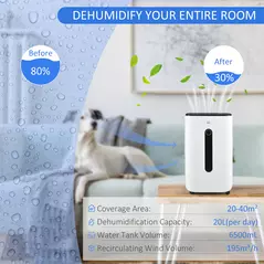 HOMCOM 6500mL Portable Dehumidifier with Air Purifier Filter, 24H Timer, 4 Modes, 22L/Day, for Home Laundry Basement - 4