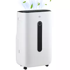 HOMCOM 6500mL Portable Dehumidifier with Air Purifier Filter, 24H Timer, 4 Modes, 22L/Day, for Home Laundry Basement - 1